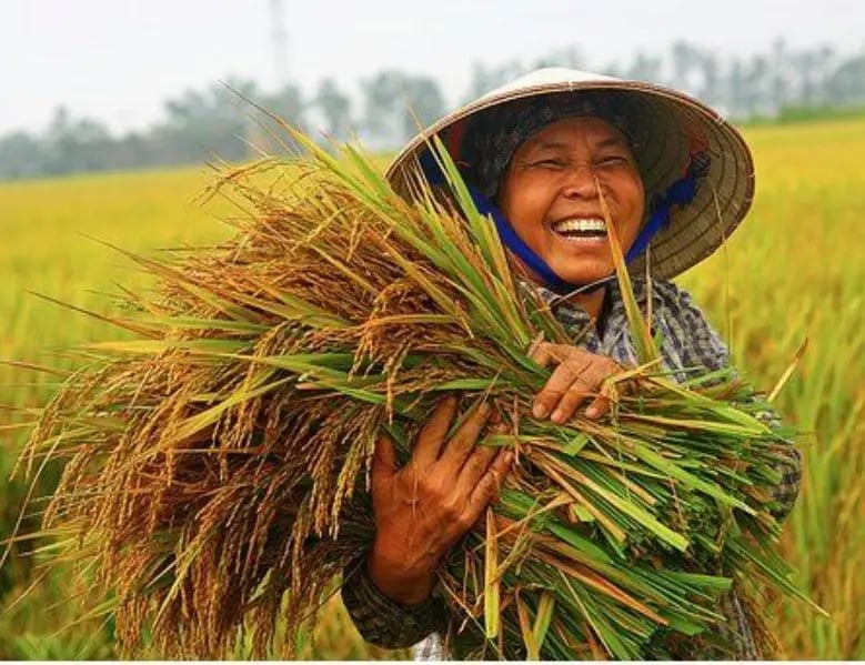farmer laughing 