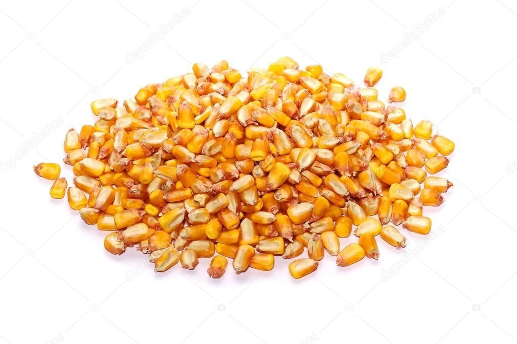 depositphotos_125453850-stock-photo-pile-corn-grains-isolated-on