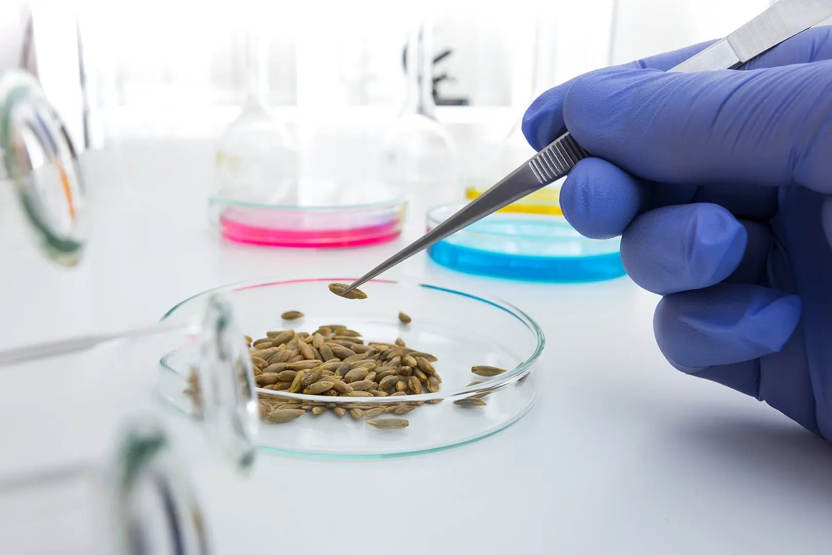 seed-lab sd